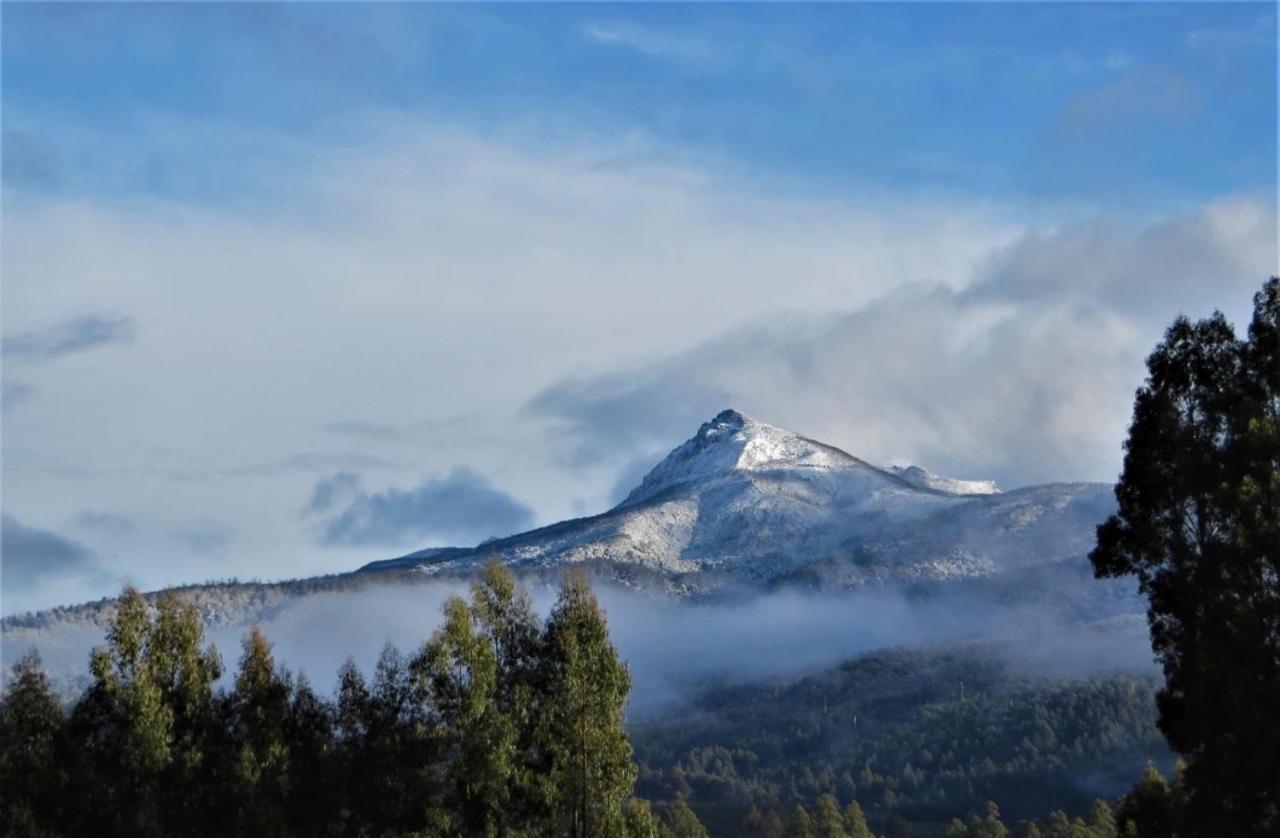 Maydena Chalet Luaran gambar